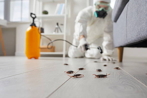 Commercial Kitchen Cockroach Control in Maywood
